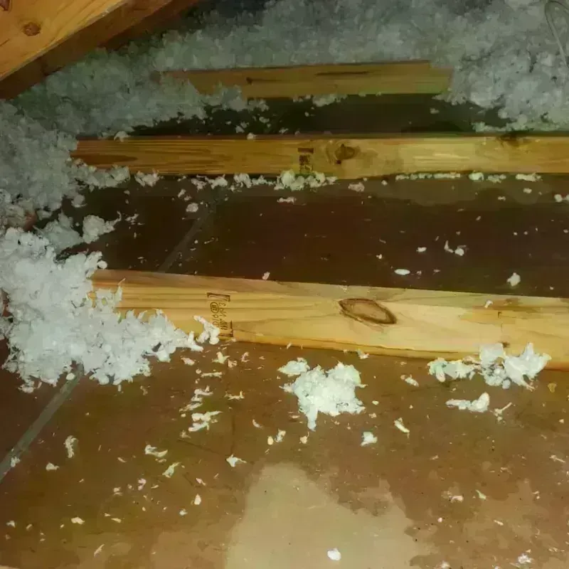 Attic Water Damage in Danielson, CT